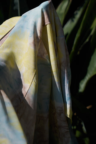 Capsule 01 - A Beginning in Stillness